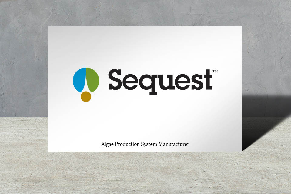 Identity - Sequest